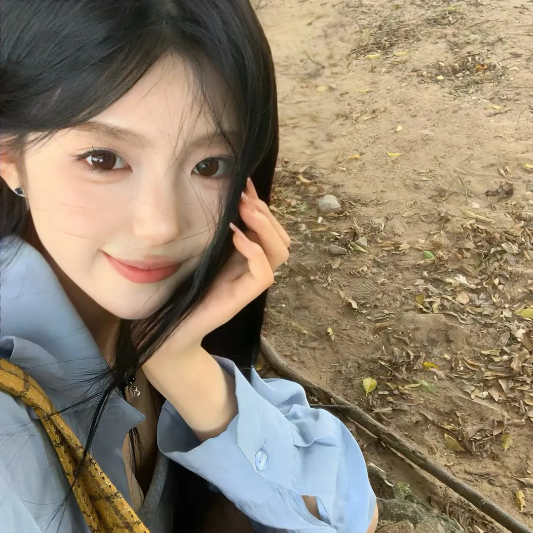 情陷亚维农